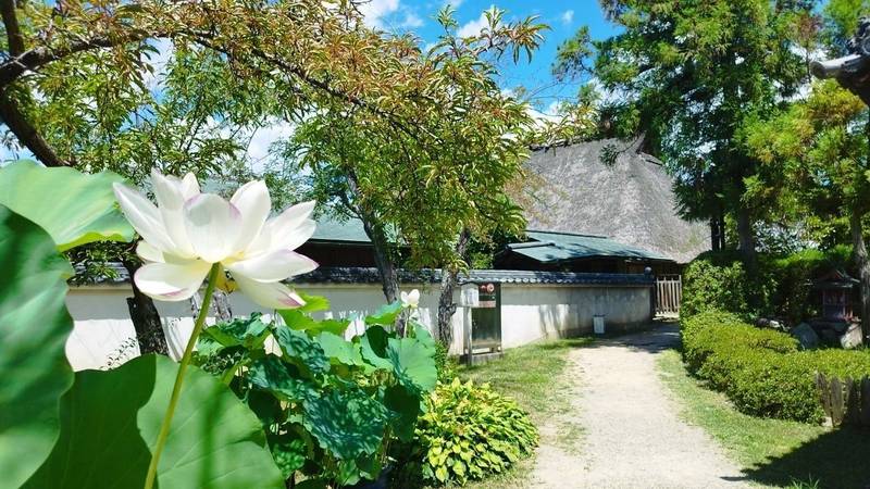 法華寺門跡,奈良県奈良市法華寺町882