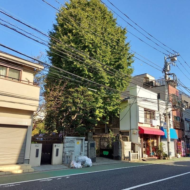 瑞泰寺,東京都文京区向丘２丁目３６−１