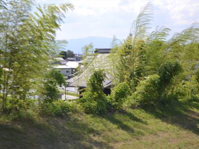 空満寺,見どころ,