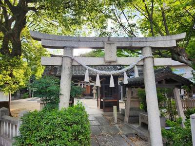 天野八幡宮,見どころ,いちご大福