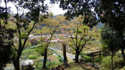 神明神社,見どころ,あおつき