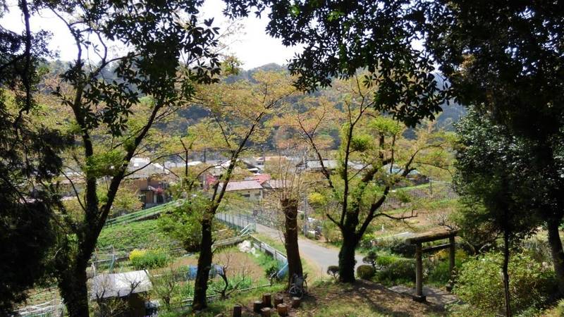 神明神社,東京都八王子市裏高尾町２０５
