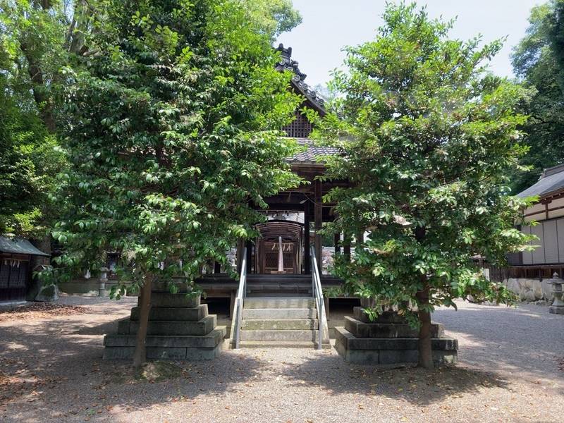 菅田神社,滋賀県近江八幡市中小森町1207