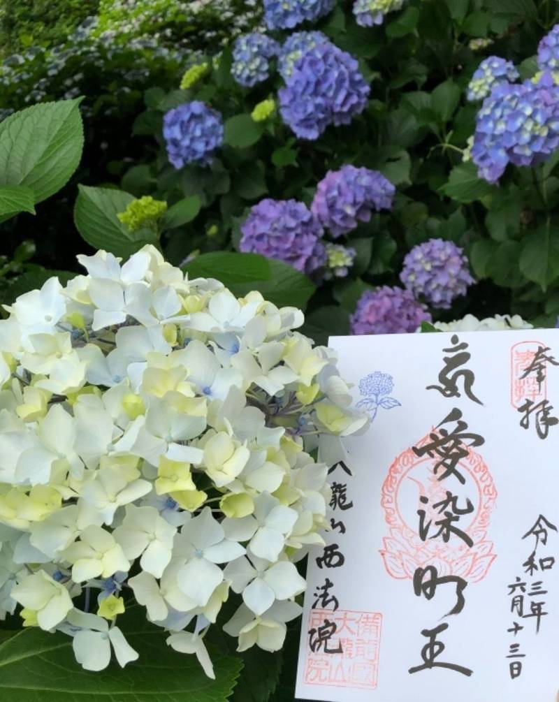 大瀧山 西法院 御朱印 備前市 岡山県 Omairi おまいり 大瀧山 西法院 御朱印 備前市 岡山県 Omairi おまいり