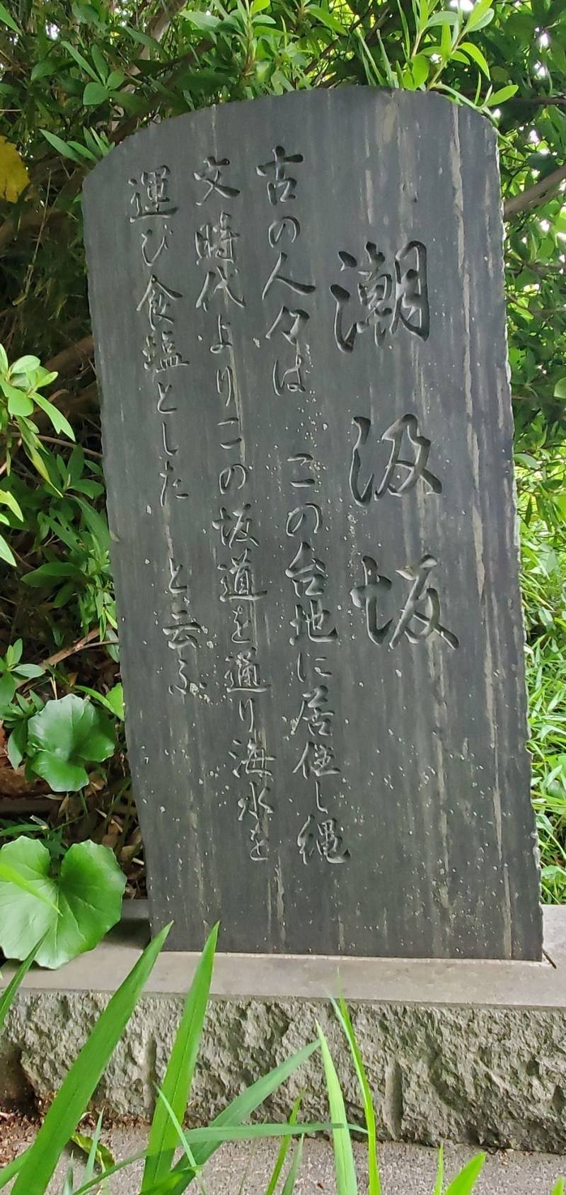 森浅間神社下宮,神奈川県横浜市磯子区森2-17
