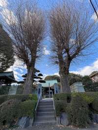 神奈川県の御朱印・神社・お寺 人気ランキング2025 (2601位～2625位)