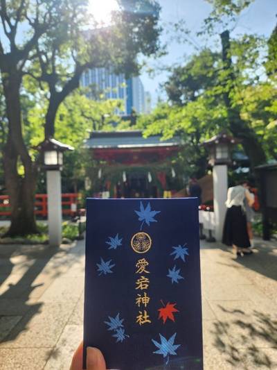 愛宕神社,御朱印帳,toppo