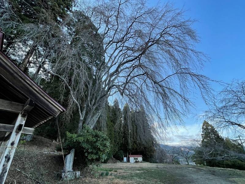 八幡神社,長野県下伊那郡阿智村伍和193