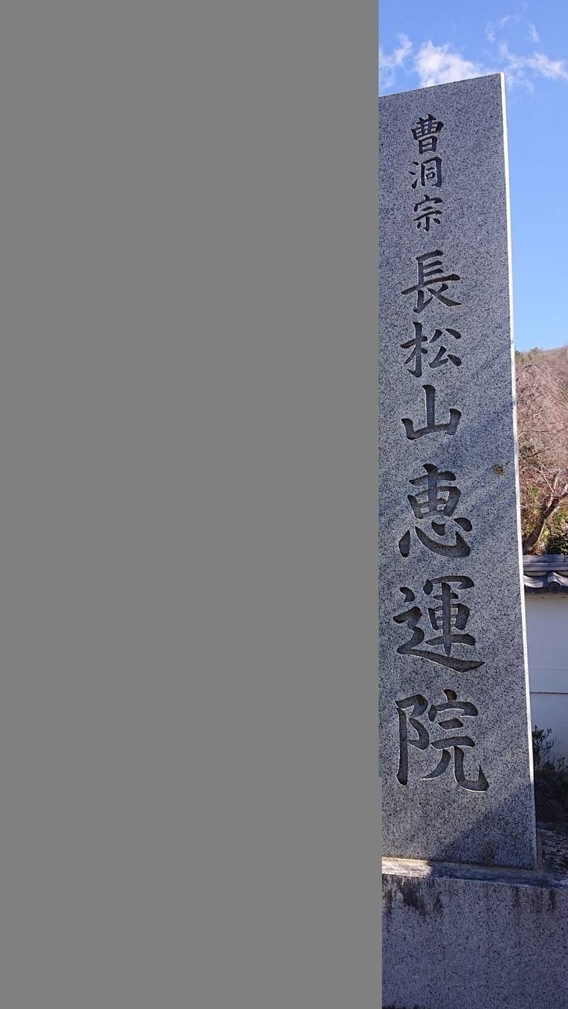 恵運院,山梨県甲府市塚原町828