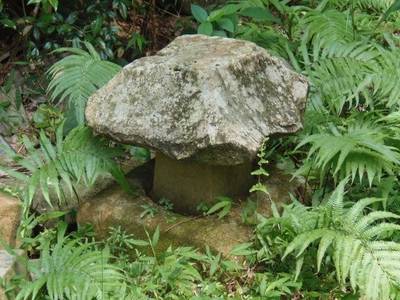 正一位稲荷神社,見どころ,里
