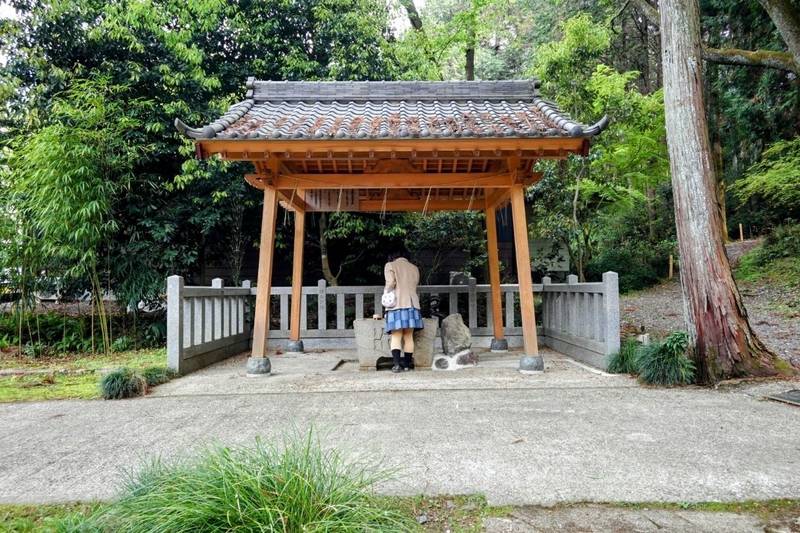 福厳寺,愛知県小牧市大字大草5229