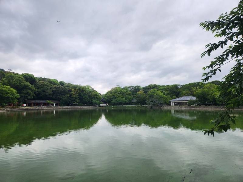橿原神宮,奈良県橿原市久米町934番地