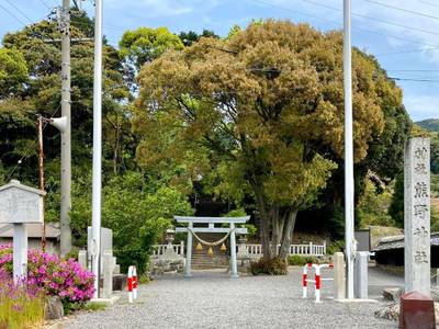 熊野神社   (蒲郡市坂本町),見どころ,を神