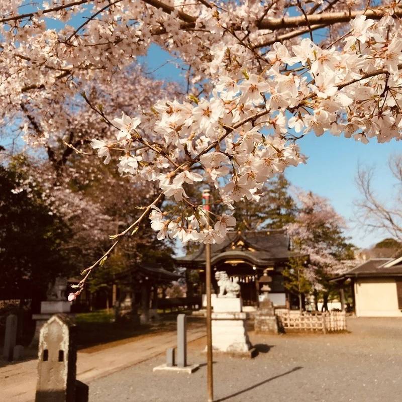 諏訪神社 東村山市 東京都 Omairi おまいり 諏訪神社 東村山市 東京都 Omairi おまいり