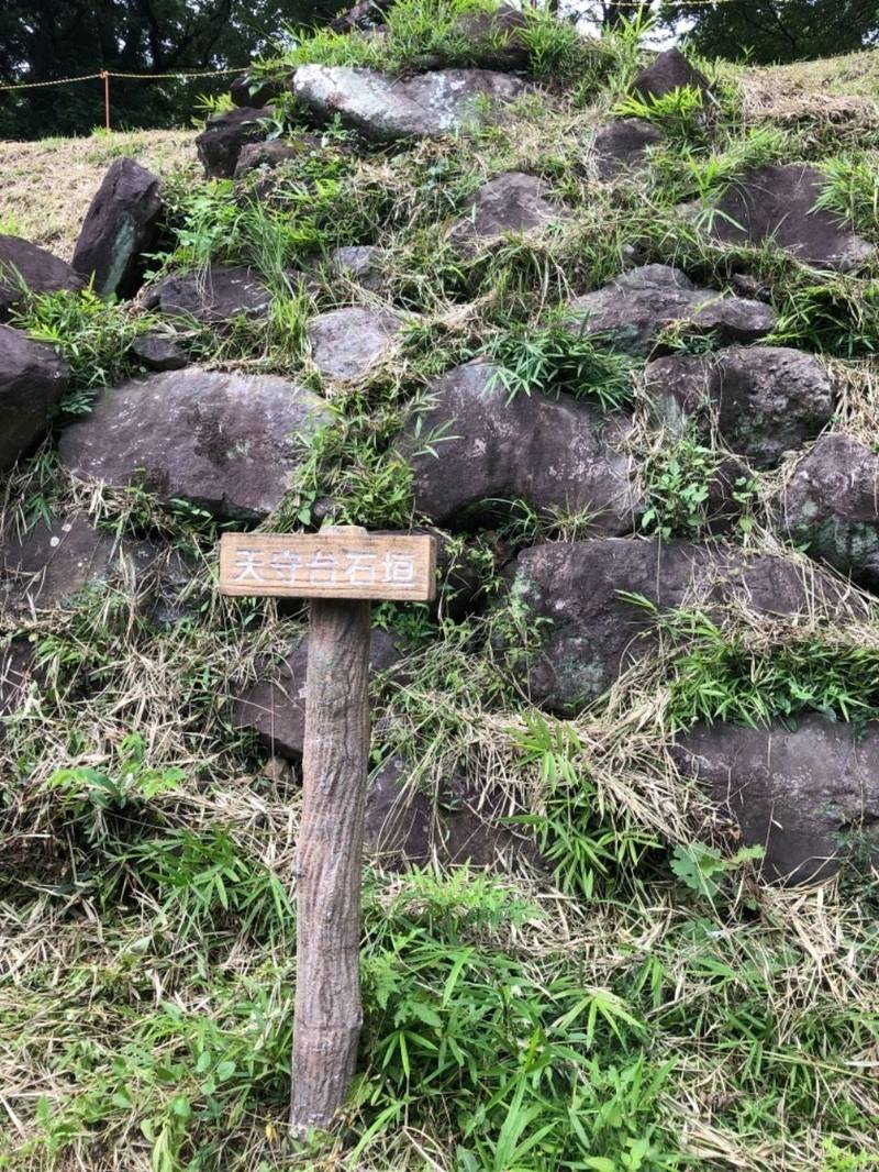 興国寺城跡