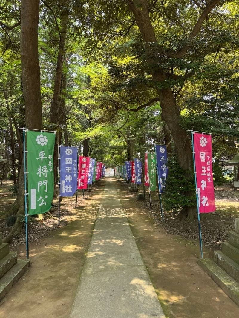国王神社,茨城県坂東市岩井951