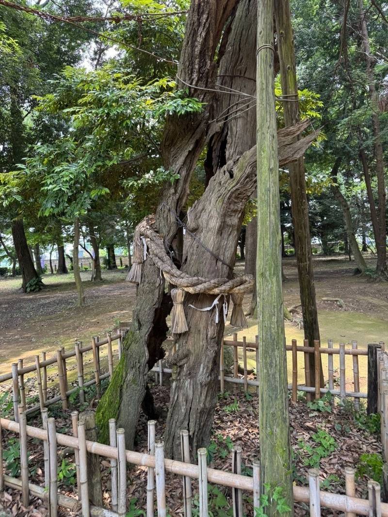 国王神社,茨城県坂東市岩井951