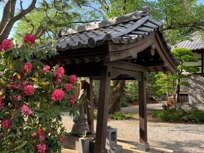 法長山　妙賢寺,見どころ,GT23