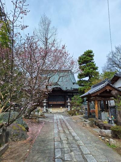 長源寺,見どころ,とるど