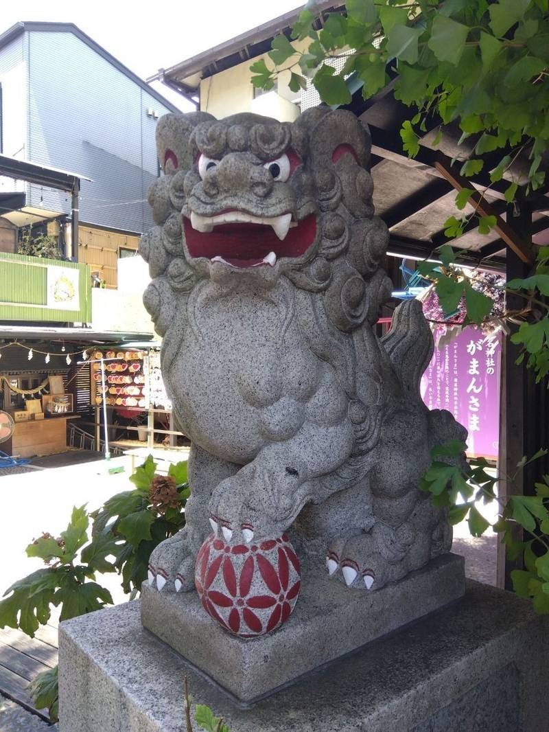 菊名神社,神奈川県横浜市港北区菊名6-5-14