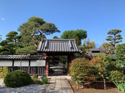 法長山　妙賢寺,見どころ,GT23