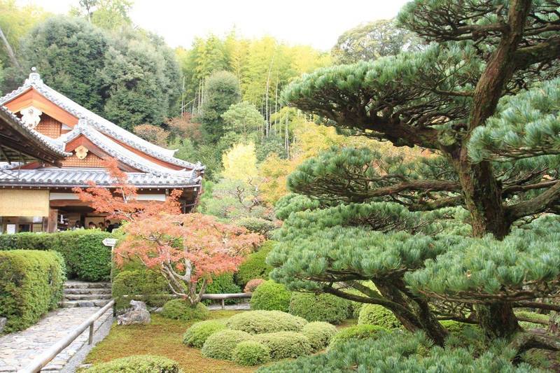 華厳寺 鈴虫寺 京都市 京都府 Omairi おまいり 華厳寺 鈴虫寺 京都市 京都府 Omairi おまいり