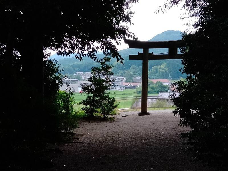 國津神社  (都祁甲岡町),奈良県奈良市都祁甲岡町３５２