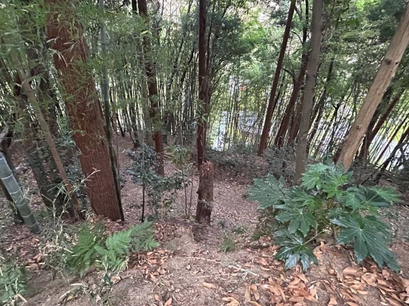 手長神社,福島県南相馬市原町区牛越城下２８