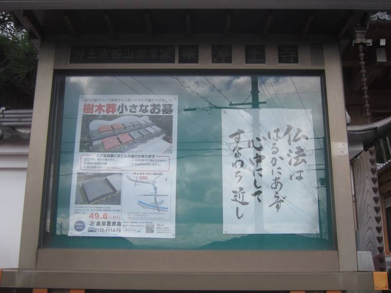 浄土寺,兵庫県丹波篠山市大山新２９９