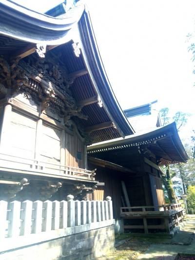 久喜宮日吉神社,見どころ,あまてらす王海守