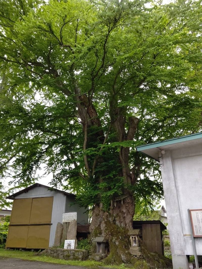 綴子神社 北秋田市/秋田県 Omairi(おまいり)