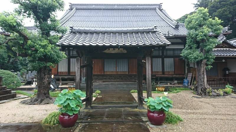 円成寺,島根県松江市栄町792