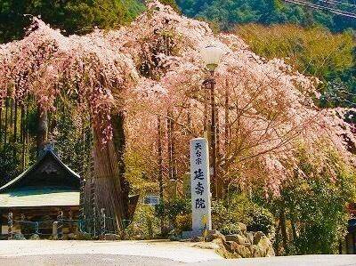 延壽院,三重県名張市赤目町長坂755