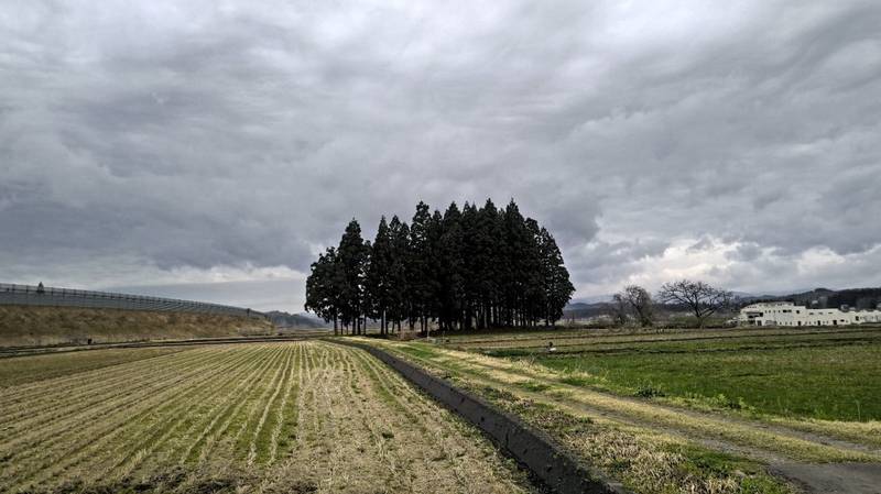 稲荷神社     (新庄市福田),山形県新庄市福田891