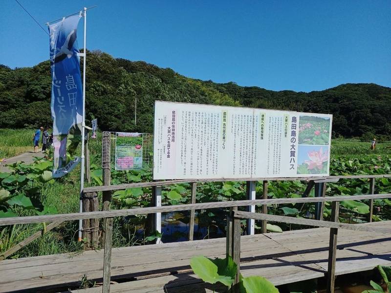 普光寺,徳島県鳴門市瀬戸町北泊北泊199
