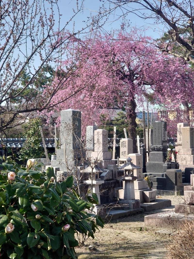 法華寺,新潟県新発田市中央町１-４-１０
