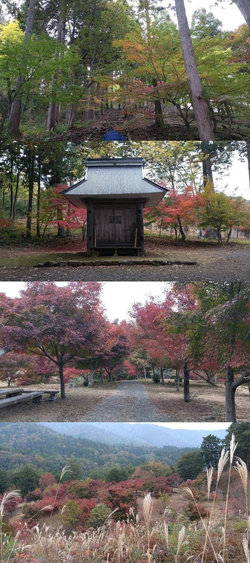 戸岩寺  (世代閣),滋賀県長浜市木之本町古橋1100