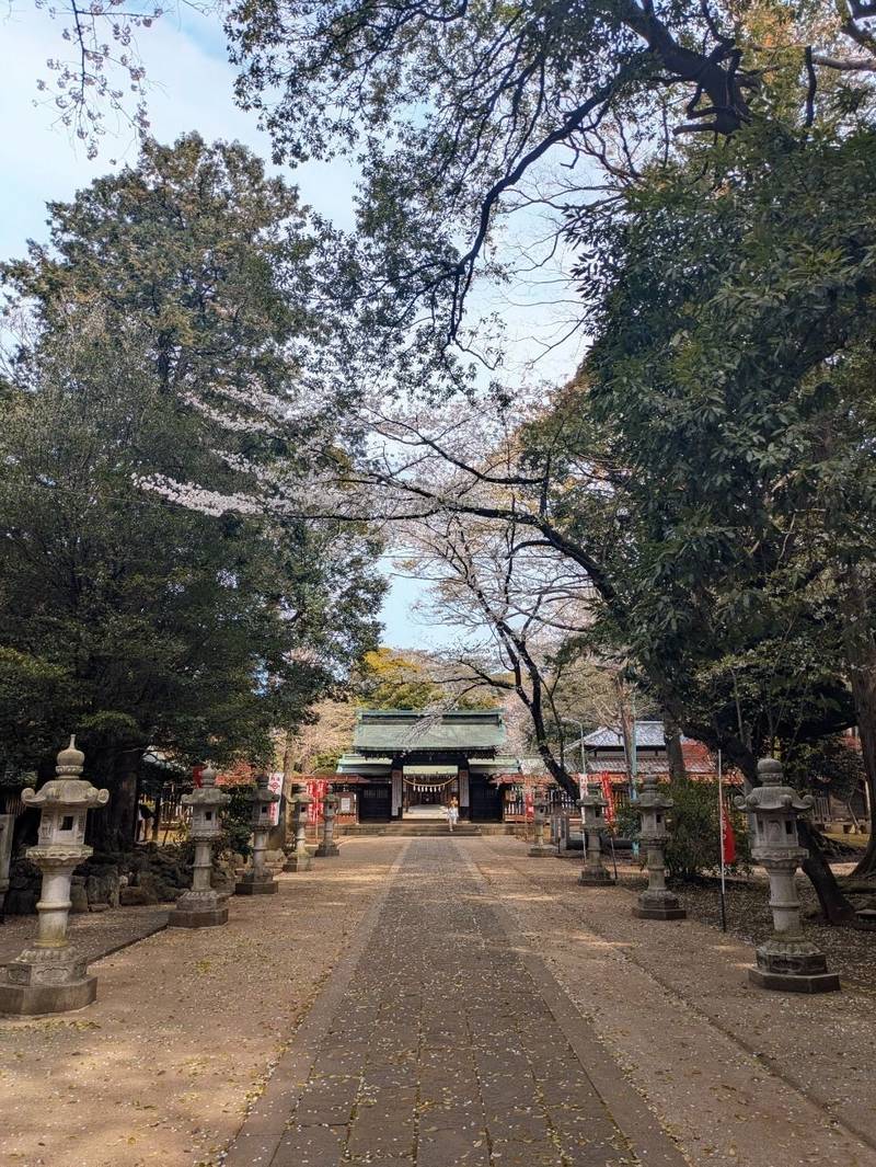 峯ヶ岡八幡神社,埼玉県川口市峯1304