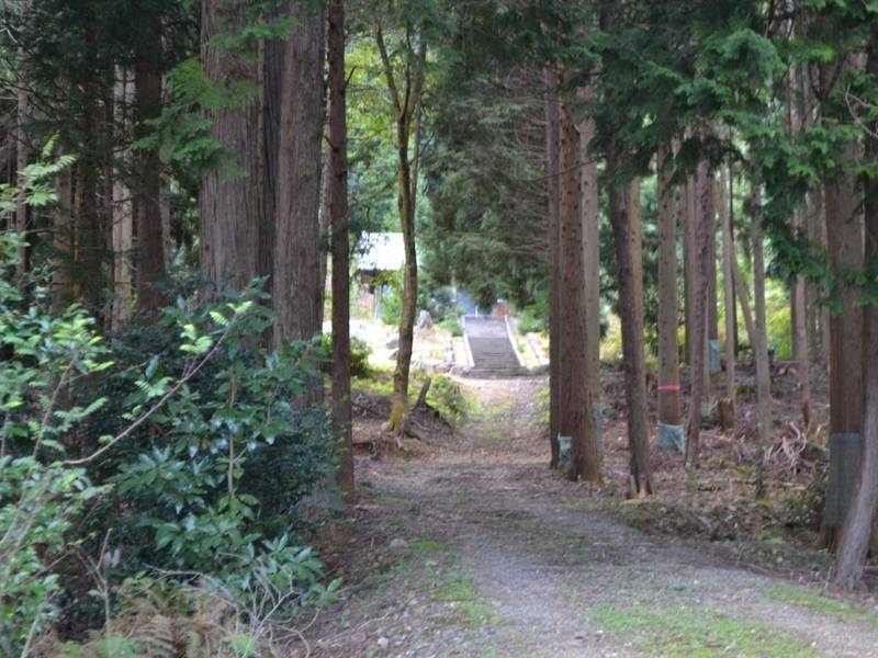 薬師堂   (太良庄),福井県小浜市太良庄字薬師谷7-11