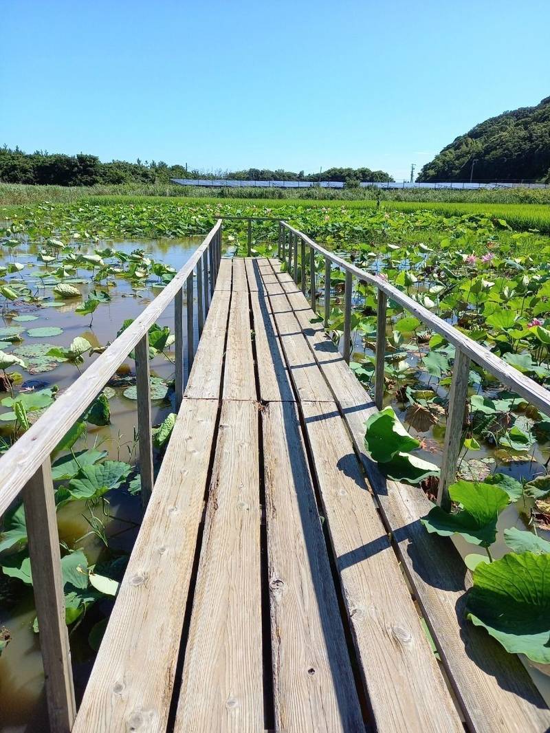 普光寺,徳島県鳴門市瀬戸町北泊北泊199