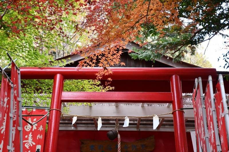 秦野福寿弁財天,神奈川県秦野市今泉