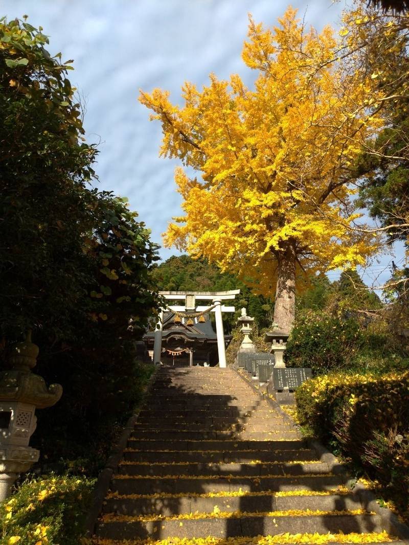 山田寺の御朱印