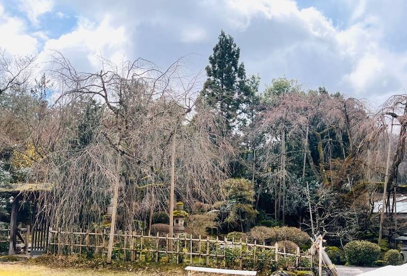 興行寺,福井県吉田郡永平寺町藤巻３４−２