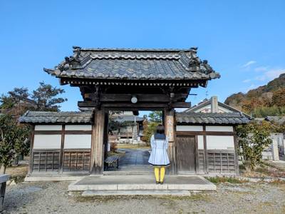 大徳寺,見どころ,平沢凛