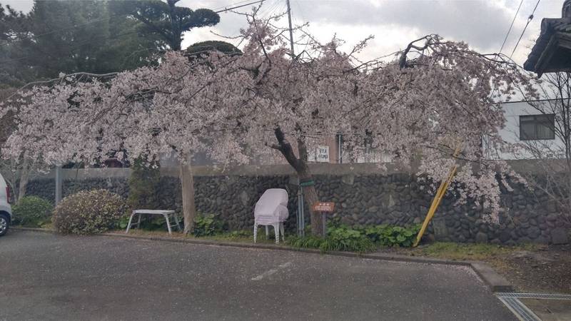 宝蓮坊,大分県中津市寺町980