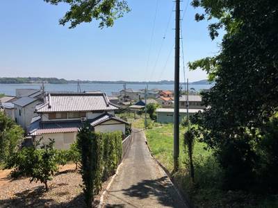 白山神社  (三ヶ日町津々崎),見どころ,メタモン