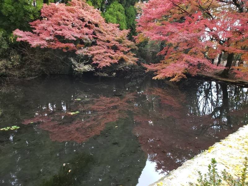 隼鷹天満宮,熊本県阿蘇市的石603