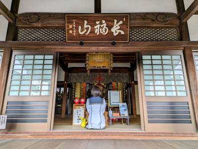 大徳寺,見どころ,平沢凛