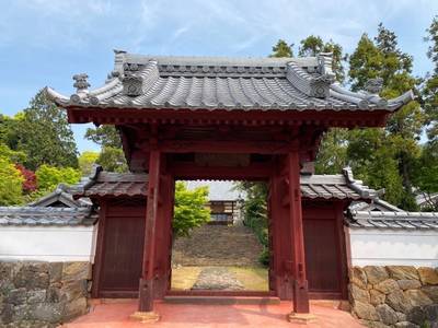 長泉寺   (蒲郡市),見どころ,を神