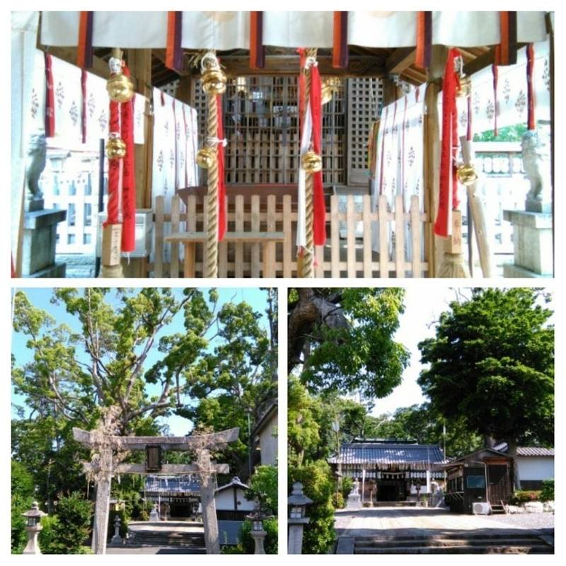 羽束師坐高御産日神社 羽束師神社 見どころ 京都 Omairi おまいり